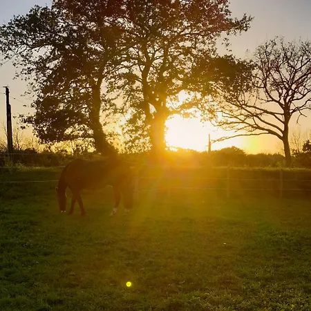 Le Clos Des Ty Holiday home *