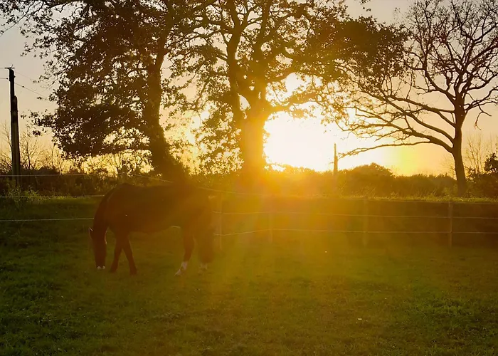 Le Clos Des Ty Holiday home *